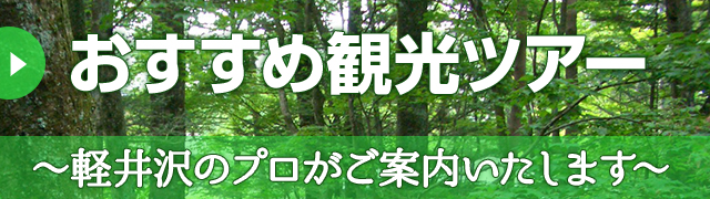 おすすめ観光ツアー